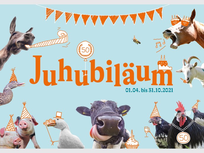 Postkarte Vorderseite mit verschiedenen Bauernhofstieren und dem Titel "Juhubiläum". (öffnet vergrößerte Bildansicht)